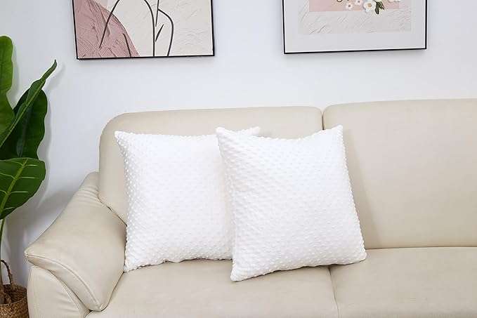 2 Packs Throw Pillow Covers, Neutral Decorative Couch Pillow Cover for Living Room Bed Sofa Rustic Farmhouse Boho Home Decor, Soft Plush Cushion Case Slipcover (White, 20"x 20")