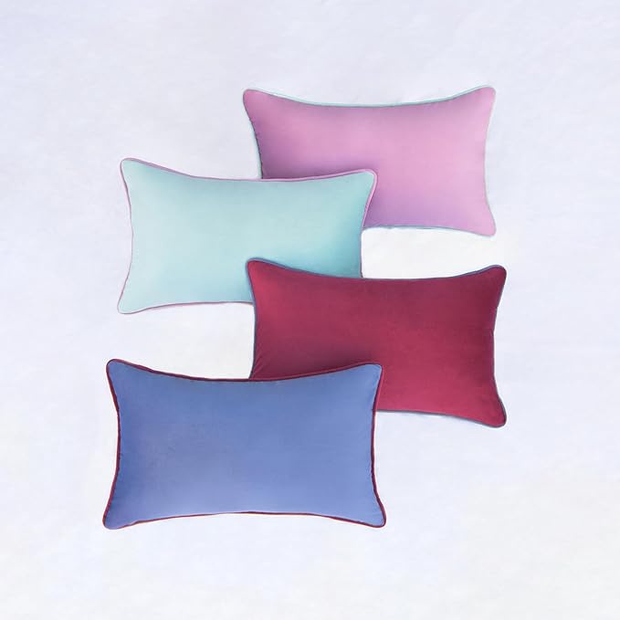 MONDAY MOOSE Decorative Throw Pillow Covers Cushion Cases, Set of 4 Soft Velvet Modern Double-Sided Designs, Mix and Match for Home Decor, Pillow Inserts Not Included (12x20 inch, Purple/Blue)