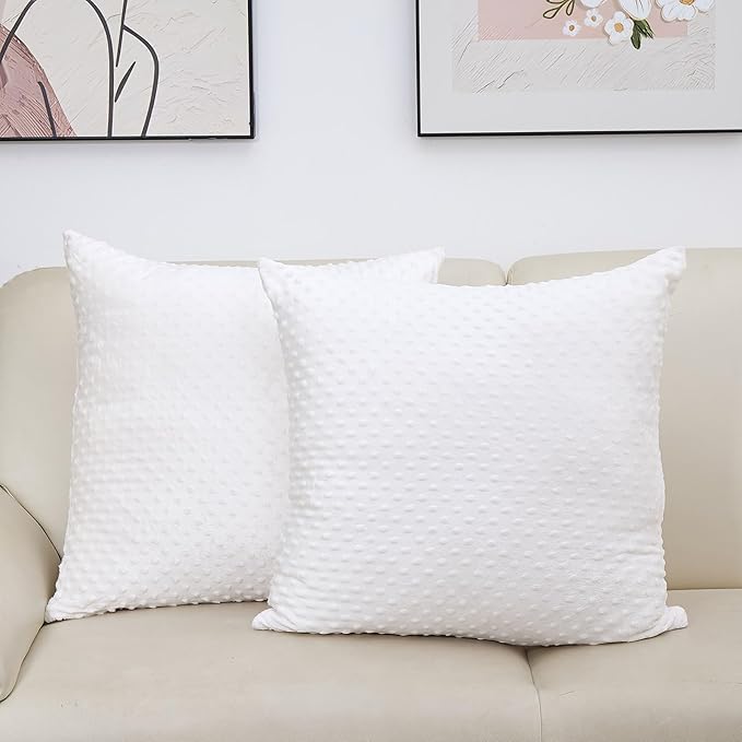2 Packs Throw Pillow Covers, Neutral Decorative Couch Pillow Cover for Living Room Bed Sofa Rustic Farmhouse Boho Home Decor, Soft Plush Cushion Case Slipcover (White, 22"x 22")