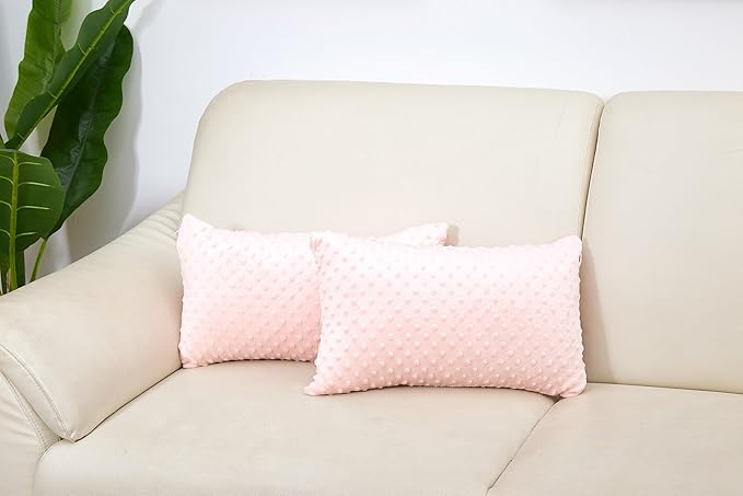 2 Packs Throw Pillow Covers, Neutral Decorative Couch Pillow Cover for Living Room Bed Sofa Rustic Farmhouse Boho Home Decor, Soft Plush Cushion Case Slipcover (Light Pink, 12"x 20")