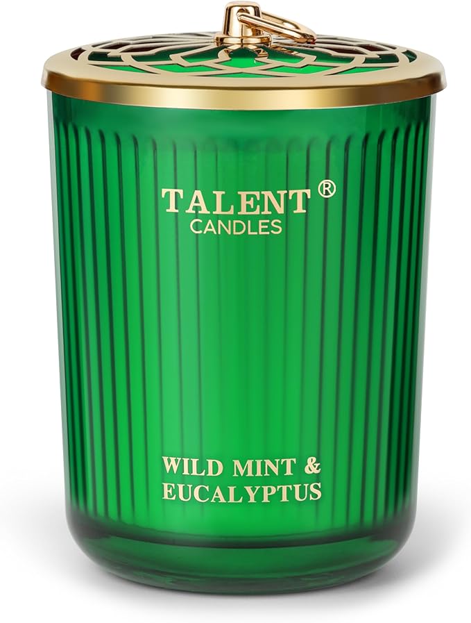 Jar Candles for Home Scented, Aromatherapy Candles Gifts for Women & Men, Natural Soy Candle, 8.4oz Traditional Style, Wild Mint & Eucalyptus