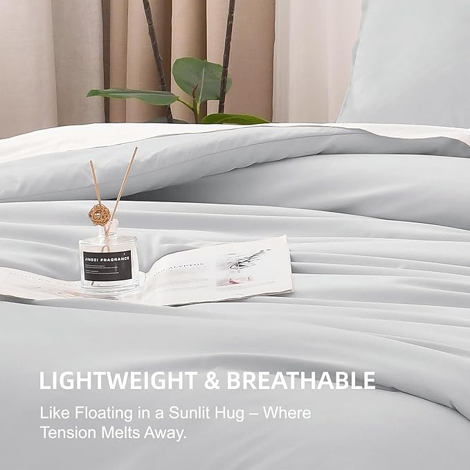 Litanika Light Grey Comforter Queen Size, 3 Pieces Lightweight Solid Bedding Comforter Set, All Season Fluffy Bed Set (90x90In Comforter & 2 Pillowcases)