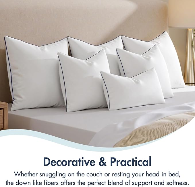 MIULEE 24x24 Euro Pillow Inserts, Fluffy Down Alternative Filling Pack of 2 Ultra Soft Throw Pillows for Bed Sofa Couch