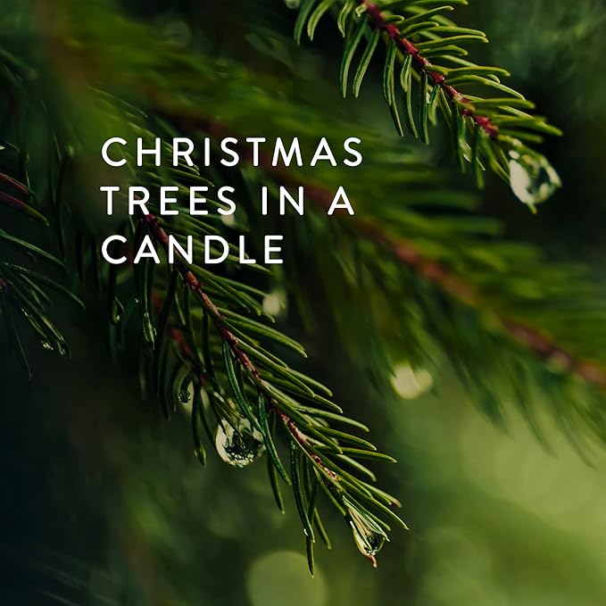 Thymes Frasier Fir Candles - Statement Collection - Silver with Pine Needle Design - Scented Candles for Home Decor - Notes of Siberian Fir Needles, Cedarwood & Sandalwood - Large 4 Wick (40 oz)