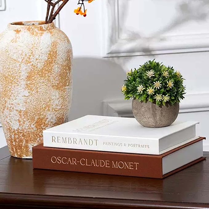 Decorative Books for Home Decor Set of 2 Fake Book for Decoration Coffee Table Books Decors Book Shelf Home Decor Aesthetic Decorative Boxes for Decors Storage for Living Room Office Mantlse