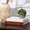 Decorative Books for Home Decor Set of 2 Fake Book for Decoration Coffee Table Books Decors Book Shelf Home Decor Aesthetic Decorative Boxes for Decors Storage for Living Room Office Mantlse