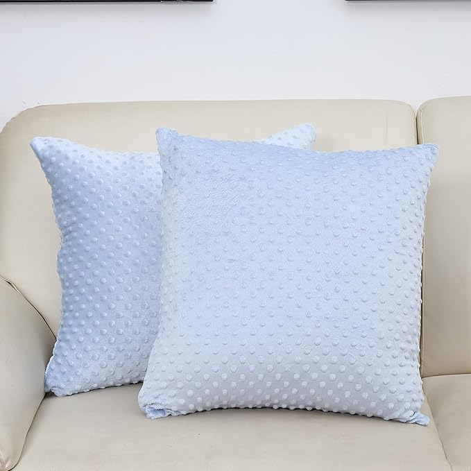 2 Packs Throw Pillow Covers, Neutral Decorative Couch Pillow Cover for Living Room Bed Sofa Rustic Farmhouse Boho Home Decor, Soft Plush Cushion Case Slipcover (SkyBlue, 20"x 20")