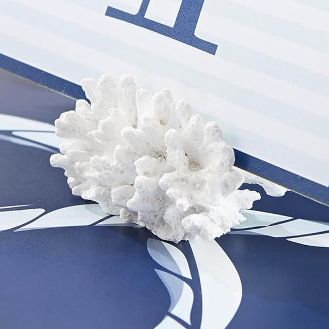 Kate Aspen Seven Seas Coral Place Card Holders - Set of 6 Coastal-Inspired Table Place Cards with Holders - Beach Wedding Decorations - Nautical Table Decor - Wedding Favors for Guests