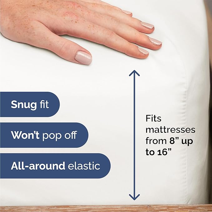 Queen 6 Piece Sheet Set - Comfy Breathable & Cooling - Soft Hotel Luxury Bedding Set with 8-16 Inch Deep Pockets - 1 Flat & 1 Fitted Sheet & 4 Pillowcases - Wrinkle Free & Easy Care - Antique White
