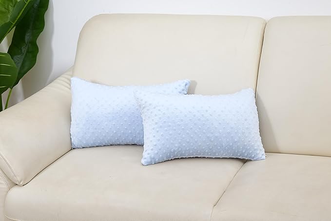 2 Packs Throw Pillow Covers, Neutral Decorative Couch Pillow Cover for Living Room Bed Sofa Rustic Farmhouse Boho Home Decor, Soft Plush Cushion Case Slipcover (SkyBlue, 12"x 20")