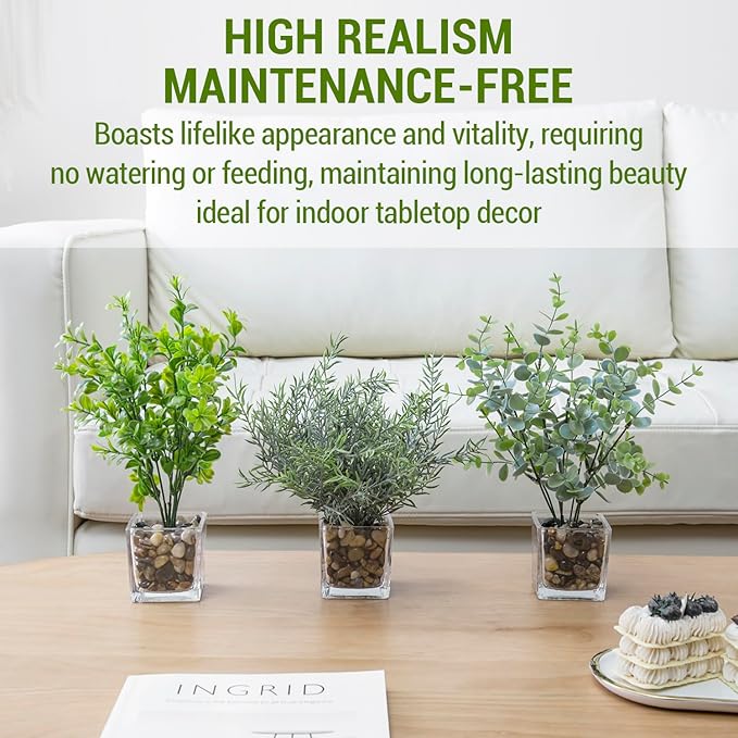 MyGift Artificial Rosemary Eucalyptus and Boxwood Plants Potted in Clear Glass Square Pots, Assorted Faux Greenery Indoor Home Table Centerpiece Office Desk Decor, 3 Piece Set
