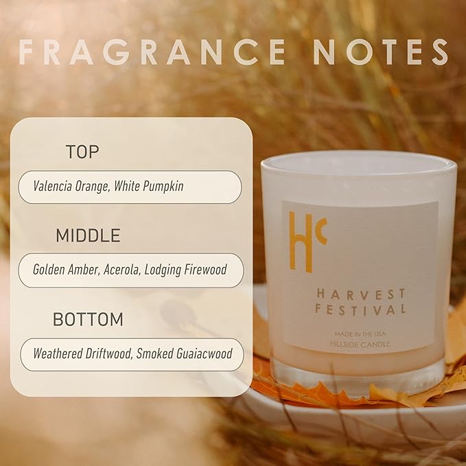 Long-Lasting Harvest Festival Fragrance - Single Wick Scented Candles - Up to 60 Hour Burn Time, Cruelty-Free Soy Candle Wax Blend - Pumpkin Fragrance, Notes of Amber & Orange (9 oz)