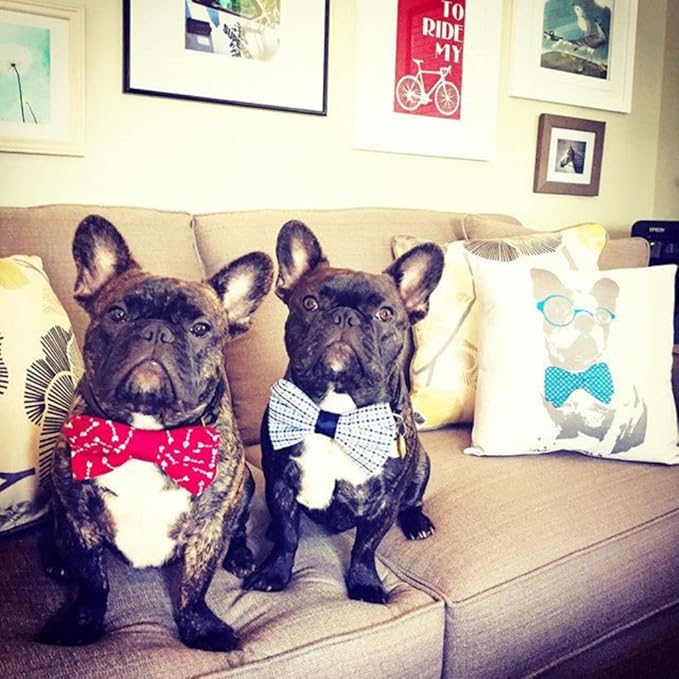 Shop&Three Custom Design Photos or Text Outdoor/Indoor Throw Pillowcase,Personalized Pet Photo Pillow, Love Photo Throw Pillowcases, Wedding Keepsake Throw Pillow Covers 16" x 16"