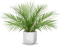 Hollyone Large Artificial Potted Plants Fake Palm Plants 16" Faux Green Plant Plastic Tropical Palm Tree in Marble Ceramic Pots Bohemian for Home Room Office House Indoor Decoration