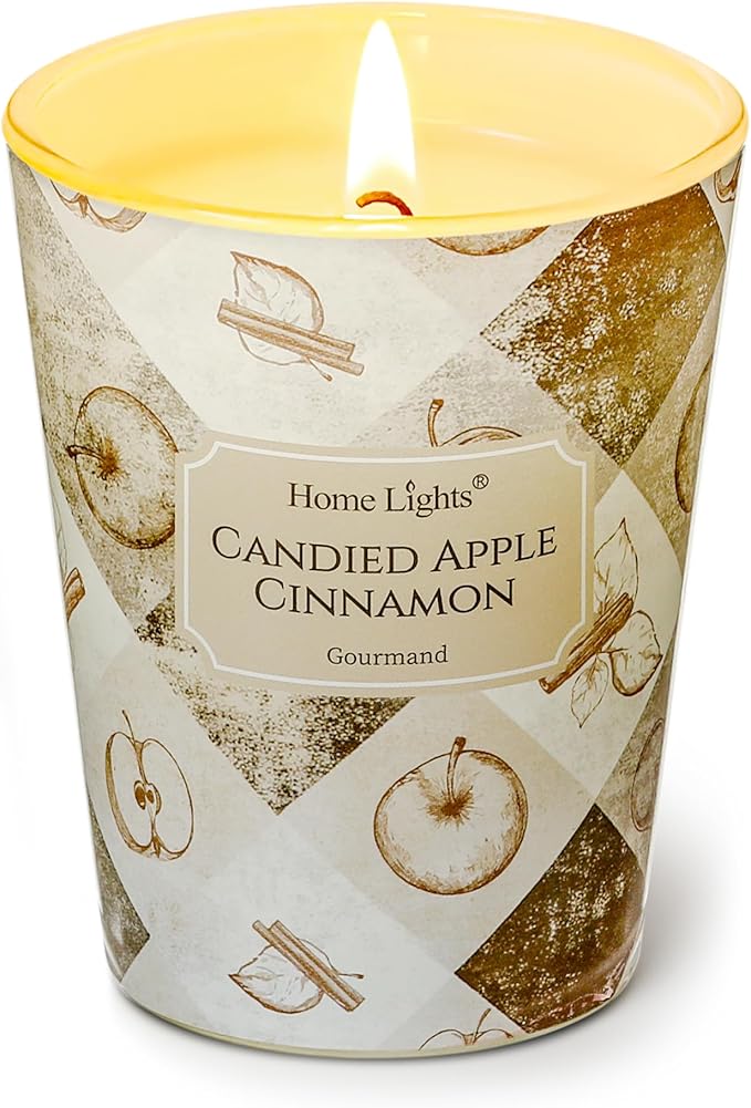 HomeLights Large jar Candle | 1-Wick Long-Lasting Scented Candles, 6.7oz Natural Soy Wax Candle for Home Scented, Rustic Modern Gifts for Women & Men, Candied Apple Cinnamon
