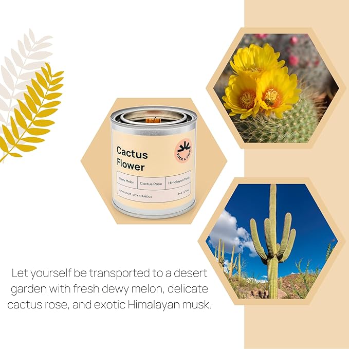 Wick & Star Vegan Non-Toxic, Wood Wick, Natural Coconut Soy Wax Aromatherapy Candle, Clean Burning (Cactus Flower)