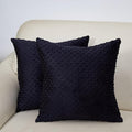 2 Packs Throw Pillow Covers, Neutral Decorative Couch Pillow Cover for Living Room Bed Sofa Rustic Farmhouse Boho Home Decor, Soft Plush Cushion Case Slipcover (Black, 18"x 18")