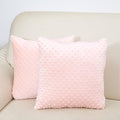 2 Packs Throw Pillow Covers, Neutral Decorative Couch Pillow Cover for Living Room Bed Sofa Rustic Farmhouse Boho Home Decor, Soft Plush Cushion Case Slipcover (Light Pink, 16"x 16")