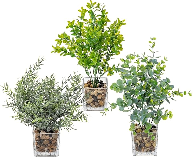 MyGift Artificial Rosemary Eucalyptus and Boxwood Plants Potted in Clear Glass Square Pots, Assorted Faux Greenery Indoor Home Table Centerpiece Office Desk Decor, 3 Piece Set