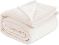 Bedsure GentleSoft Fleece Blankets Queen Size Cream - Bed Blanket Soft Lightweight Plush Fuzzy Cozy Luxury Microfiber, 90x90 inches