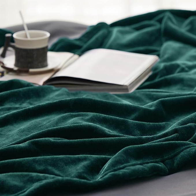 Bedsure GentleSoft Fleece Throw Blanket Forest Green - 300GSM Blankets for Couch, Sofa, Bed, Soft Lightweight Plush Cozy Throws for Toddlers, 50x60 inches