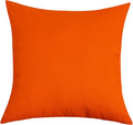 TangDepot Handmade Decorative Solid 100% Cotton Canvas Throw Pillow Covers/Pillow Shams, (14"x14", Orange)
