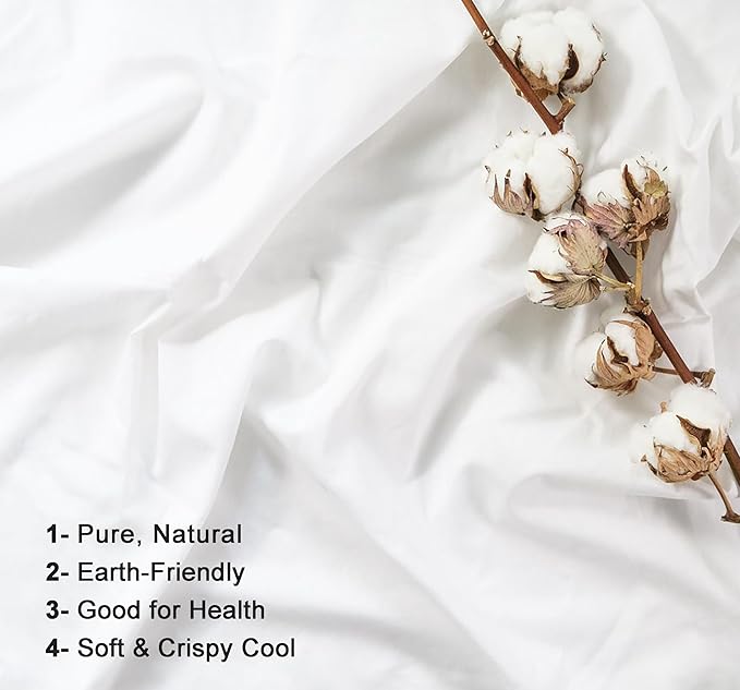 RUVANTI 100% Cotton Full Size Bed Sheets, 4 Pieces, Soft & Breathable Percale Weave Bedding, Deep Pocket 16", Hotel Standard, Crisp Cool Feel, Durable, Perfect Sheet Set Dyed, Milky White