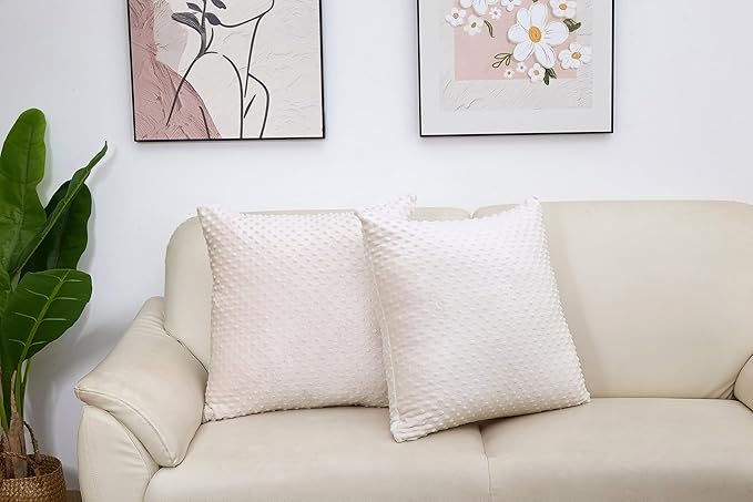 2 Packs Throw Pillow Covers, Neutral Decorative Couch Pillow Cover for Living Room Bed Sofa Rustic Farmhouse Boho Home Decor, Soft Plush Cushion Case Slipcover (Beige, 22"x 22")
