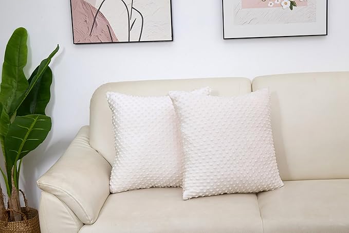 2 Packs Throw Pillow Covers, Neutral Decorative Couch Pillow Cover for Living Room Bed Sofa Rustic Farmhouse Boho Home Decor, Soft Plush Cushion Case Slipcover (Beige, 20"x 20")