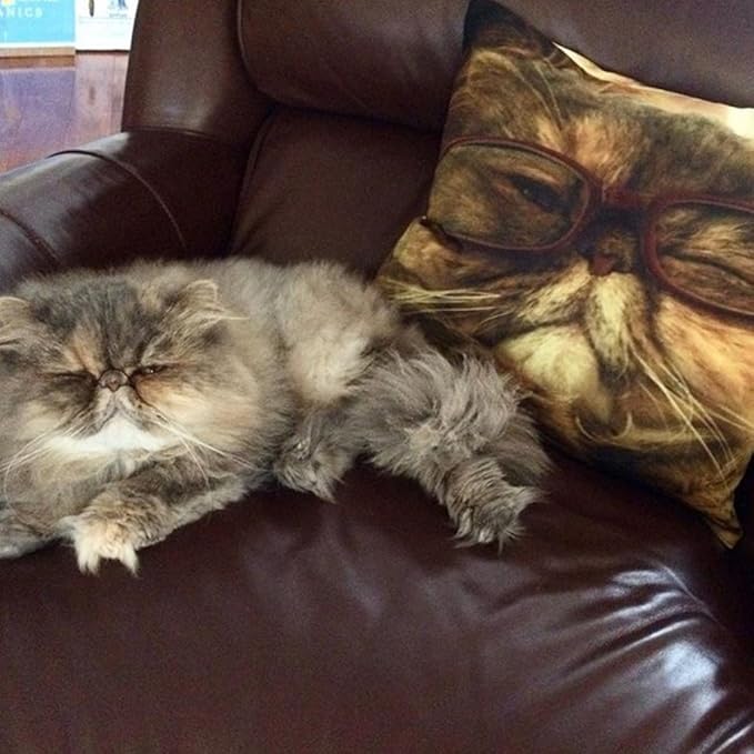Shop&Three Custom Design Photos or Text Outdoor/Indoor Throw Pillowcase,Personalized Pet Photo Pillow, Love Photo Throw Pillowcases, Wedding Keepsake Throw Pillow Covers 20" x 20"
