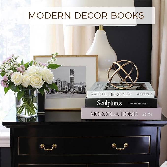 Set of 3 Decorative Books for Home Decor,Mid Century Modern Faux Decor Book for Decoration,Fake Books for Coffee Table/Bookshelf/Mantel Decor,Photo Storage or Keepsake Box (Black)