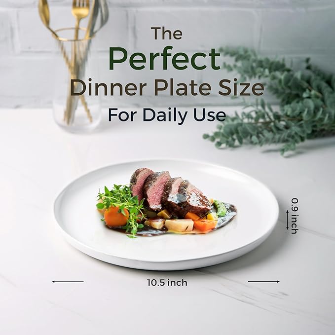 AmorArc Dinner Plates Set of 4, Handcrafted Porcelain Wavy Rim 10.5 Inch Modern Ceramic Plates Set, Dinnerware Dishes for Kitchen-Microwave&Dishwasher&Oven Safe, Chip resistant-Matte White