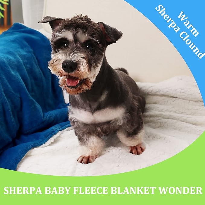NANPIPER Baby Sherpa Blanket,Warm Toddler Throw Blanket,Soft Newborn Fleece Blanket for Winter (Princess Blue,30x40 inches)