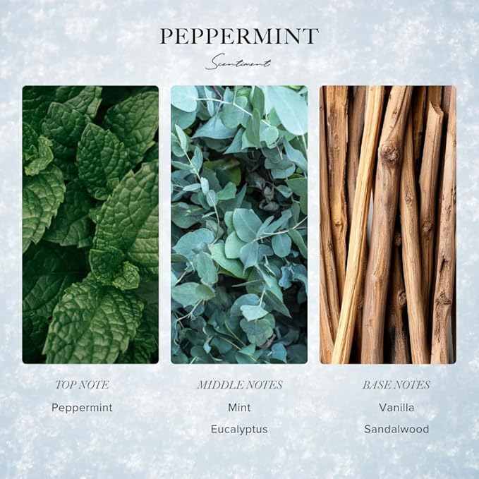 Scentiment Diffuser Oil - Peppermint Winter Collection | Aromatherapy Home Fragrance | Luxurious Scent with Notes of Peppermint, Mint, Vanilla (120ml)