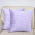 2 Packs Throw Pillow Covers, Neutral Decorative Couch Pillow Cover for Living Room Bed Sofa Rustic Farmhouse Boho Home Decor, Soft Plush Cushion Case Slipcover (Orchid, 20"x 20")