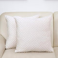 2 Packs Throw Pillow Covers, Neutral Decorative Couch Pillow Cover for Living Room Bed Sofa Rustic Farmhouse Boho Home Decor, Soft Plush Cushion Case Slipcover (Beige, 20"x 20")
