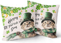 Giwawa Patrick Cat Throw Pillow Covers Set of 2, 16x16in Happy St Patrick's Day Kitten Decorative Square Pillow Cases, Clover Shamrock Soft Cotton Cushion Covers for Sofa Couch Bedding Decor