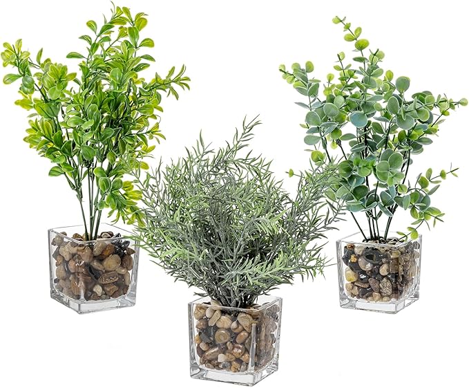 MyGift Artificial Rosemary Eucalyptus and Boxwood Plants Potted in Clear Glass Square Pots, Assorted Faux Greenery Indoor Home Table Centerpiece Office Desk Decor, 3 Piece Set