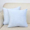 2 Packs Throw Pillow Covers, Neutral Decorative Couch Pillow Cover for Living Room Bed Sofa Rustic Farmhouse Boho Home Decor, Soft Plush Cushion Case Slipcover (SkyBlue, 18"x 18")