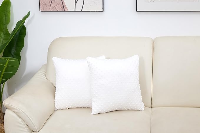 2 Packs Throw Pillow Covers, Neutral Decorative Couch Pillow Cover for Living Room Bed Sofa Rustic Farmhouse Boho Home Decor, Soft Plush Cushion Case Slipcover (White, 16"x 16")