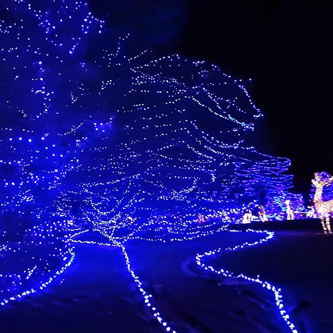Dazzle Bright Outdoor Christmas String Lights, 1000 LED 328 FT Plug in Fairy Light with Remote Control 8 Modes & Timer, Waterproof Decoration for Home Garden Yard Xmas Wedding, Blue