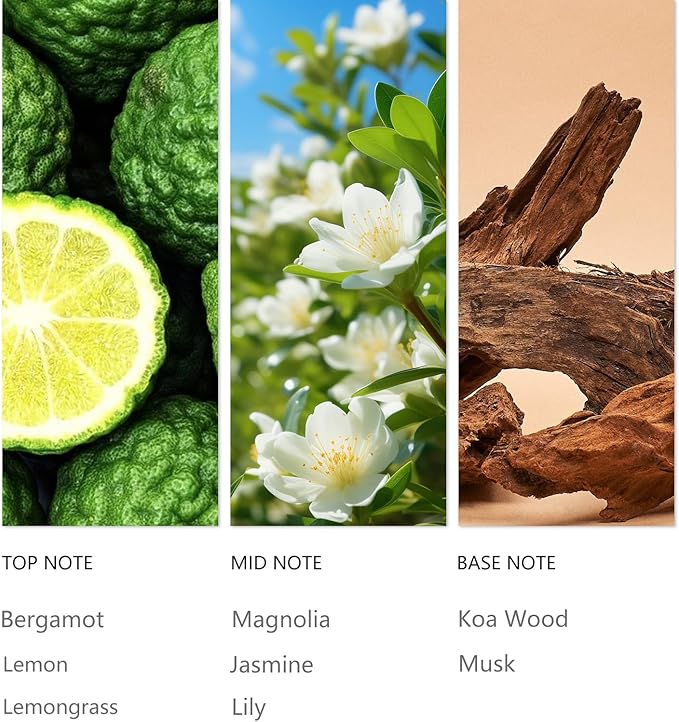 Hotel Bergamot Essential Oil - 120ML Waterless Scent Oil for Cold Air Diffusers, Luxury Aroma Fragrance Oils for Home, Spa & Office-Long Lasting Aromatic Oil for Waterless Diffusers