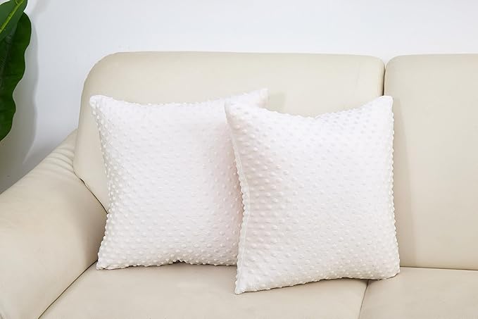 2 Packs Throw Pillow Covers, Neutral Decorative Couch Pillow Cover for Living Room Bed Sofa Rustic Farmhouse Boho Home Decor, Soft Plush Cushion Case Slipcover (Beige, 18"x 18")