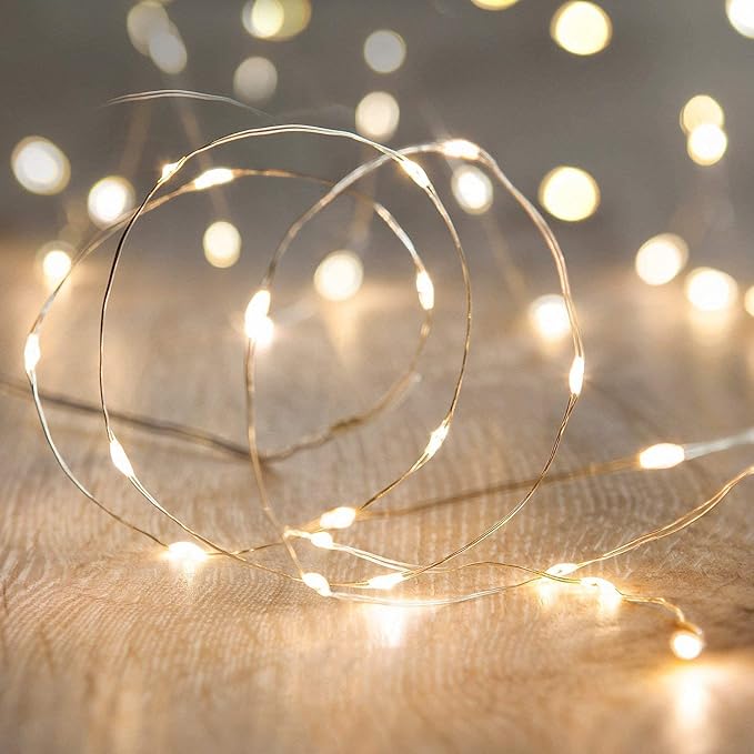 ANJAYLIA LED Fairy String Lights, 10Ft/3M 30leds Firefly String Lights Garden Home Party Wedding Festival Decorations Crafting Battery Operated Lights, Warm White