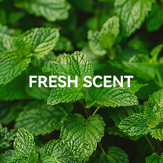 MYARO 12 Packs Eucalyptus Mint Scented Sachets for Drawer and Closet, Long-Lasting Closet Sachet Bags Drawer deodorizers Fresh Scents, Home Fragrance for Lover