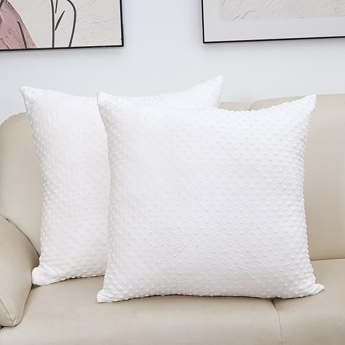 2 Packs Throw Pillow Covers, Neutral Decorative Couch Pillow Cover for Living Room Bed Sofa Rustic Farmhouse Boho Home Decor, Soft Plush Cushion Case Slipcover (White, 24"x 24")
