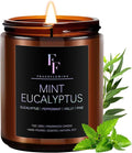 Mint Eucalyptus Candle, Scented Candle for Home Soy Wax Candle, Aromatherapy Candle Gift for Women Men, 50H Burns Long-Lasting, 7oz