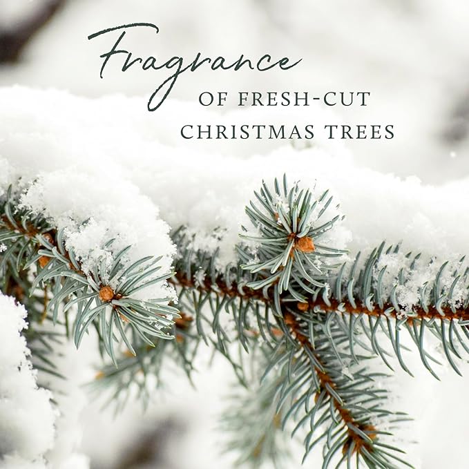Thymes Frasier Fir Pine Needle Candle Set – Scented Candles with Notes of Crisp Siberian Fir, Cedarwood and Sandalwood - Seasonal Home Decor - Luxury Home Fragrance (Set of 2, 3.75 oz Each)