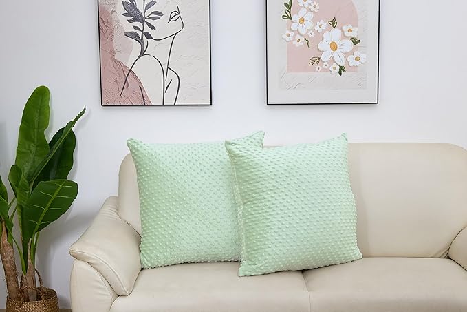 2 Packs Throw Pillow Covers, Neutral Decorative Couch Pillow Cover for Living Room Bed Sofa Rustic Farmhouse Boho Home Decor, Soft Plush Cushion Case Slipcover (Green, 24"x 24")