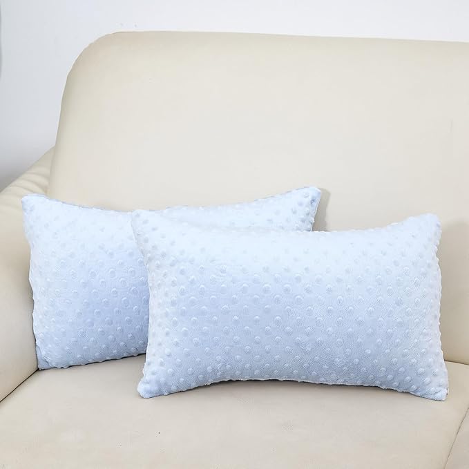 2 Packs Throw Pillow Covers, Neutral Decorative Couch Pillow Cover for Living Room Bed Sofa Rustic Farmhouse Boho Home Decor, Soft Plush Cushion Case Slipcover (SkyBlue, 12"x 20")